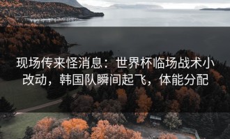 现场传来怪消息：世界杯临场战术小改动，韩国队瞬间起飞，体能分配