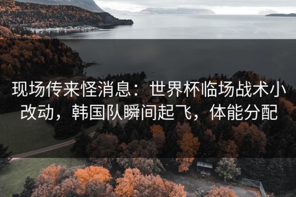 现场传来怪消息：世界杯临场战术小改动，韩国队瞬间起飞，体能分配