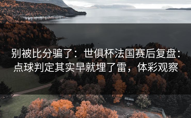 别被比分骗了：世俱杯法国赛后复盘：点球判定其实早就埋了雷，体彩观察