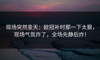现场突然变天：欧冠补时那一下太狠，现场气氛炸了，全场先静后炸！