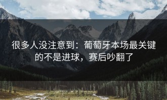 很多人没注意到：葡萄牙本场最关键的不是进球，赛后吵翻了
