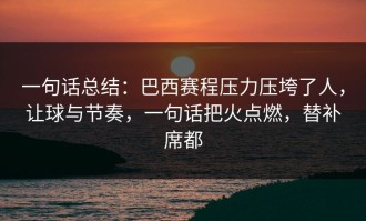 一句话总结：巴西赛程压力压垮了人，让球与节奏，一句话把火点燃，替补席都
