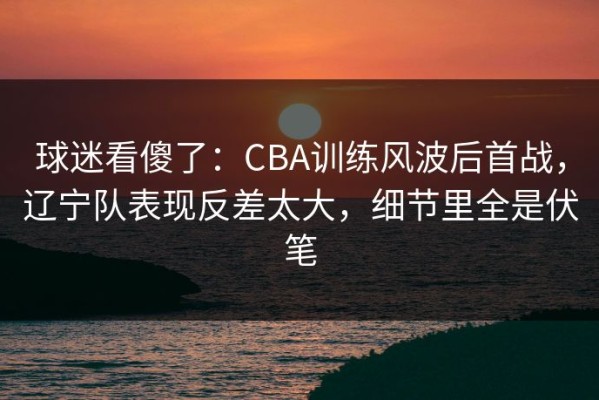 球迷看傻了：CBA训练风波后首战，辽宁队表现反差太大，细节里全是伏笔