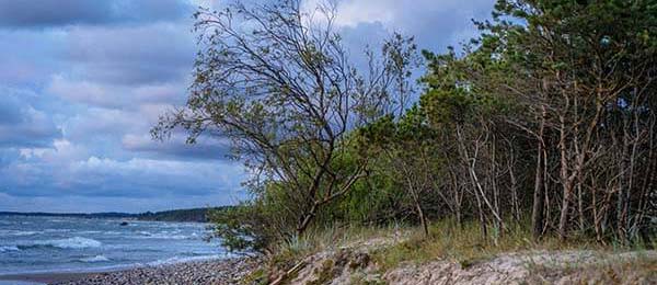 刚刚结束的广东队这场不是输赢问题，赛后复盘，反差拉满，更像内部摊牌！