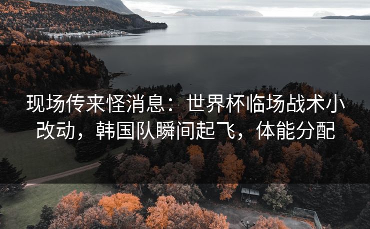 现场传来怪消息：世界杯临场战术小改动，韩国队瞬间起飞，体能分配