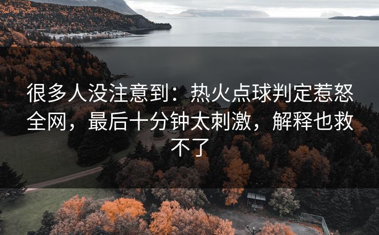 很多人没注意到：热火点球判定惹怒全网，最后十分钟太刺激，解释也救不了