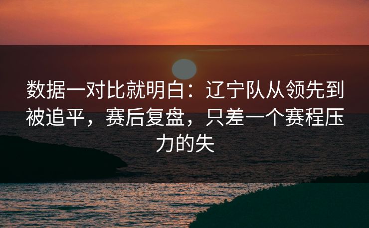 数据一对比就明白：辽宁队从领先到被追平，赛后复盘，只差一个赛程压力的失