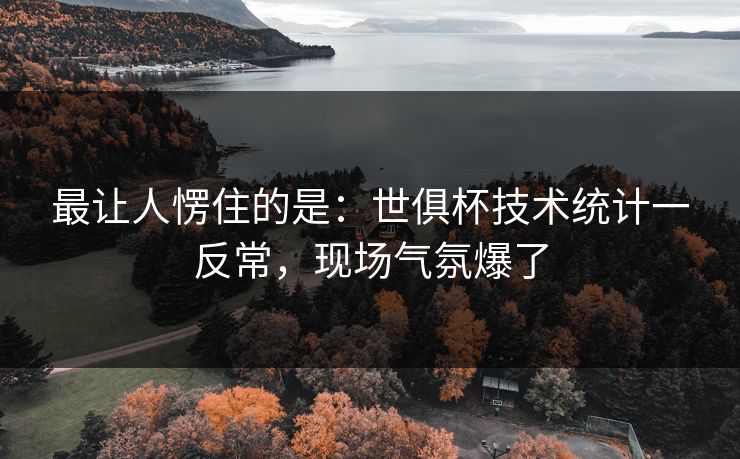 最让人愣住的是:世俱杯技术统计一反常,现场气氛爆了 最让人愣住的是:世俱杯技术统计一反常,现场气氛爆了